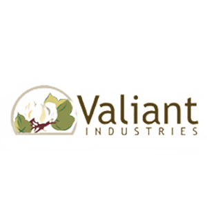 valiant air conditioning design